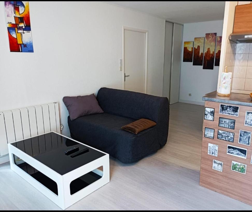 Ravissant Appartement T2 Proche Autoroute Et Centre-Ville Villefranche-sur-Saone Bagian luar foto